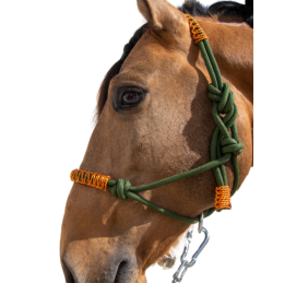 Cabezada de cuerda H3 | Adornos hilo | Varios colores