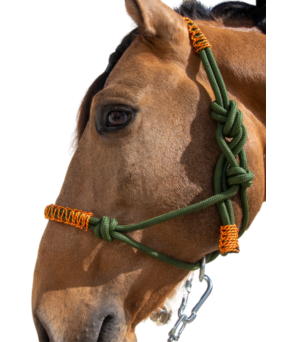 Cabezada de cuerda H3 | Adornos hilo | Varios colores