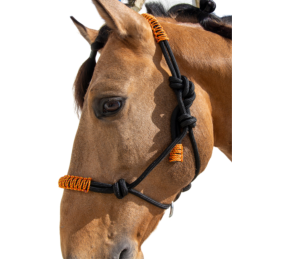 Cabezada de cuerda H3 | Adornos hilo | Varios colores