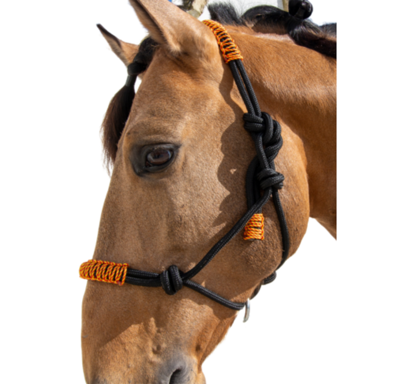 Cabezada de cuerda H3 | Adornos hilo | Varios colores