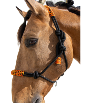 Cabezada de cuerda H3 | Adornos hilo | Varios colores