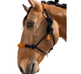 Cabezada de cuerda H3 | Adornos hilo | Varios colores