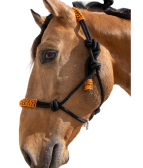 Cabezada de cuerda H3 | Adornos hilo | Varios colores