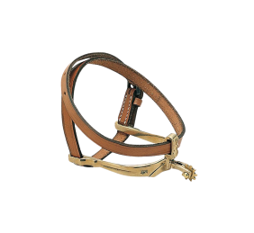 Espuela vaquera dorada 'Cyprium'