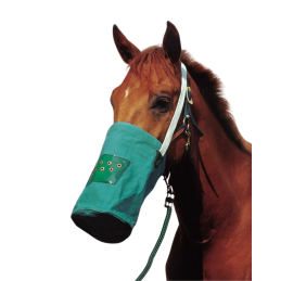 Bolsa de lona Hippotonic