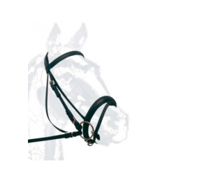 Cabezada de montar cuero doma Nº106