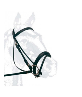 Cabezada de montar cuero doma Nº106