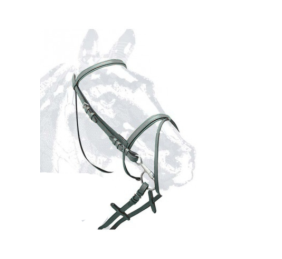 Cabezada de montar en cuero Nº198