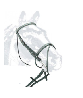 Cabezada de montar en cuero Nº198