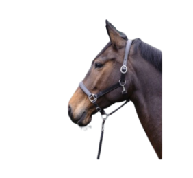 Cabezada de cuero Economic HKM