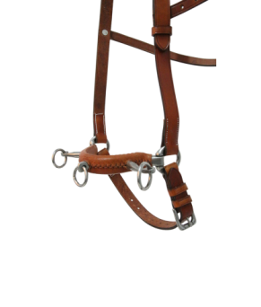 Serretón hebilla inoxidable brillo | Tres pilares