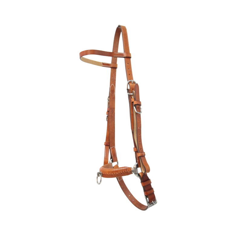 Serretón hebilla inoxidable brillo con adaptador de filete | Un pilar