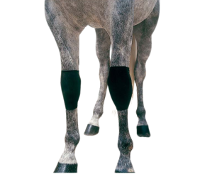 Protector neopreno rodilla | Negro