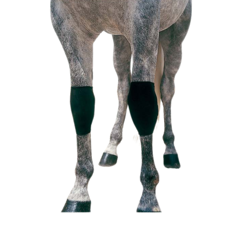 Protector neopreno rodilla | Negro