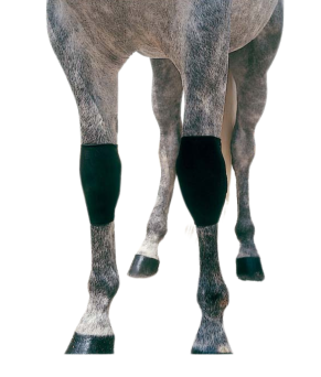 Protector neopreno rodilla | Negro