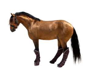 Protector de transporte 600D 'Los Nietos Dressage'