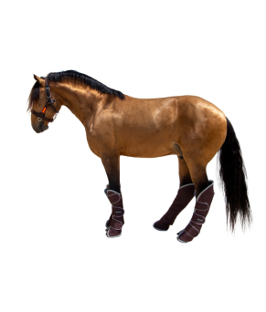 Protector de transporte 600D 'Los Nietos Dressage'