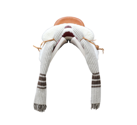 Silla de montar vaquera mixta | Modelo Pablo Hermoso de Mendoza