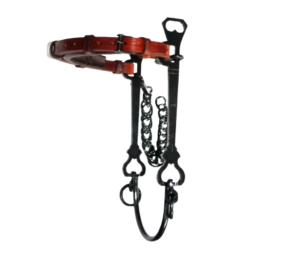 Bocado vaquero Hackamore López | Pavonado