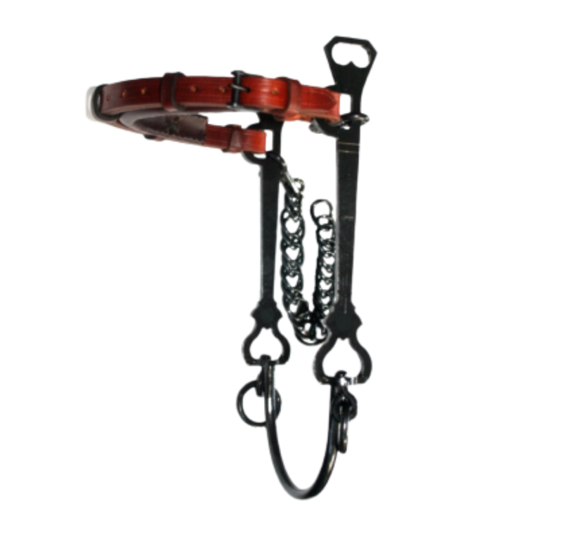 Bocado vaquero Hackamore López | Pavonado