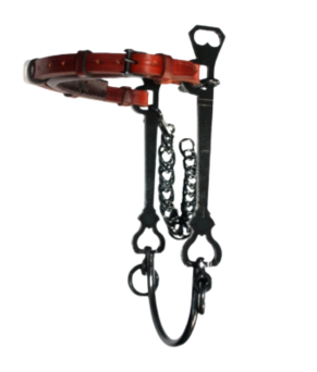 Bocado vaquero Hackamore López | Pavonado