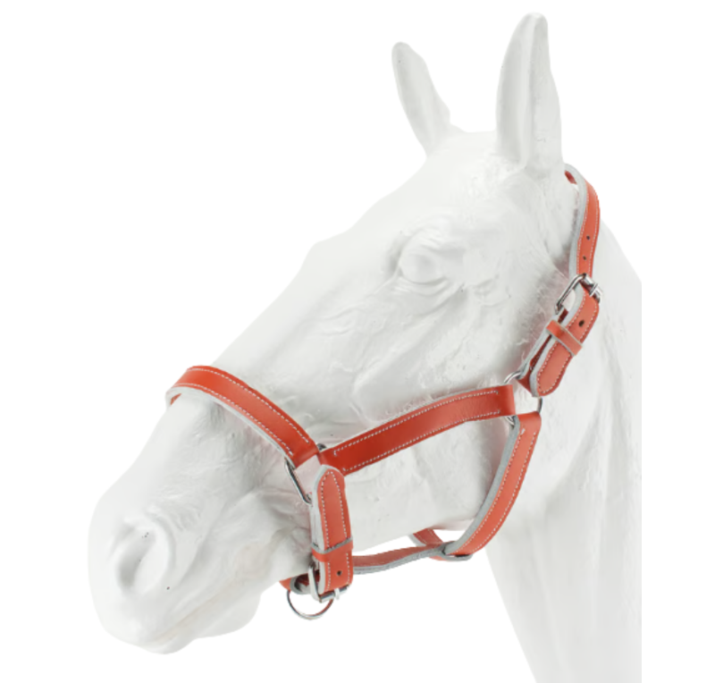 Cabezada cuadra cromo Kamell