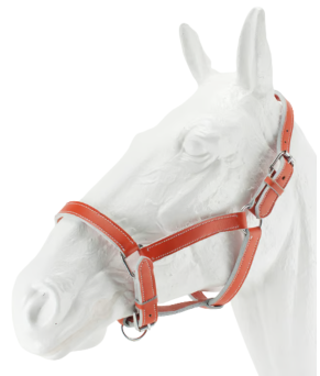 Cabezada cuadra cromo Kamell