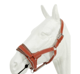 Cabezada de cuadra cromo proteccion Kamell