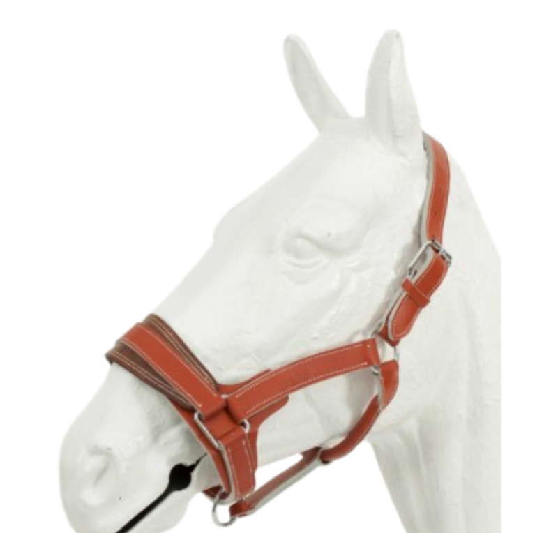 Cabezada de cuadra cromo proteccion Kamell