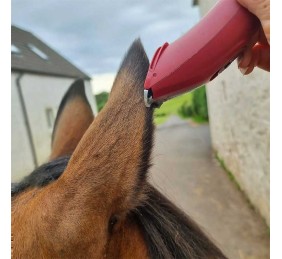 Esquiladora Liveryman Nova