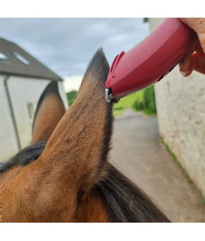 Esquiladora Liveryman Nova