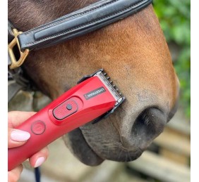 Esquiladora Liveryman Nova