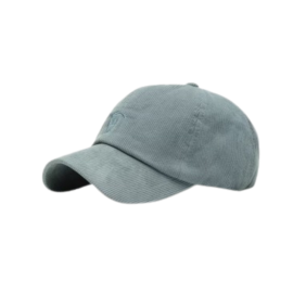 Gorra de micropana bordada | Zafiro