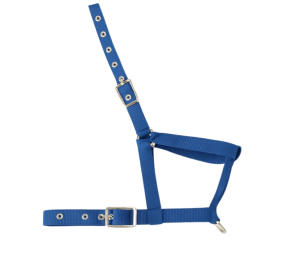 Cabezada nylon Kamell para potros | Varios colores