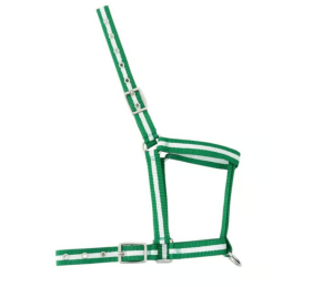 Cabezada nylon Kamell para potros | Varios colores