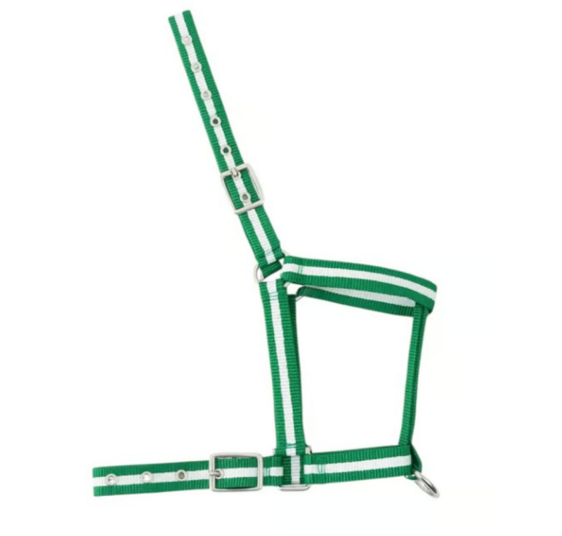 Cabezada nylon Kamell para potros | Varios colores