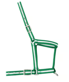 Cabezada nylon Kamell para potros | Varios colores