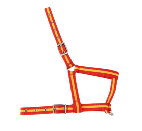 Cabezada nylon Kamell para potros | Varios colores