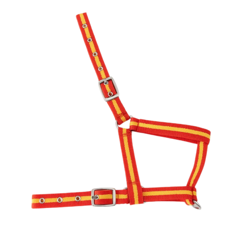Cabezada nylon Kamell para potros | Varios colores