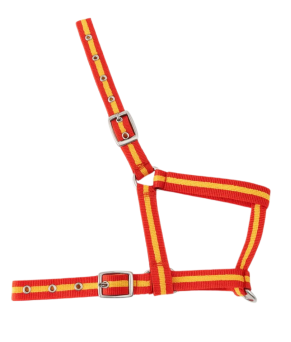 Cabezada nylon Kamell para potros | Varios colores