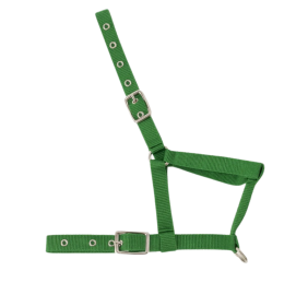 Cabezada nylon Kamell para potros | Varios colores