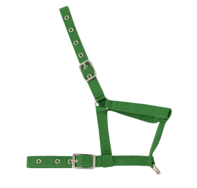 Cabezada nylon Kamell para potros | Varios colores