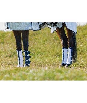 Protectores antimoscas riding world | 4 unidades