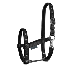 Cabezada para potro Confort | Varios colores