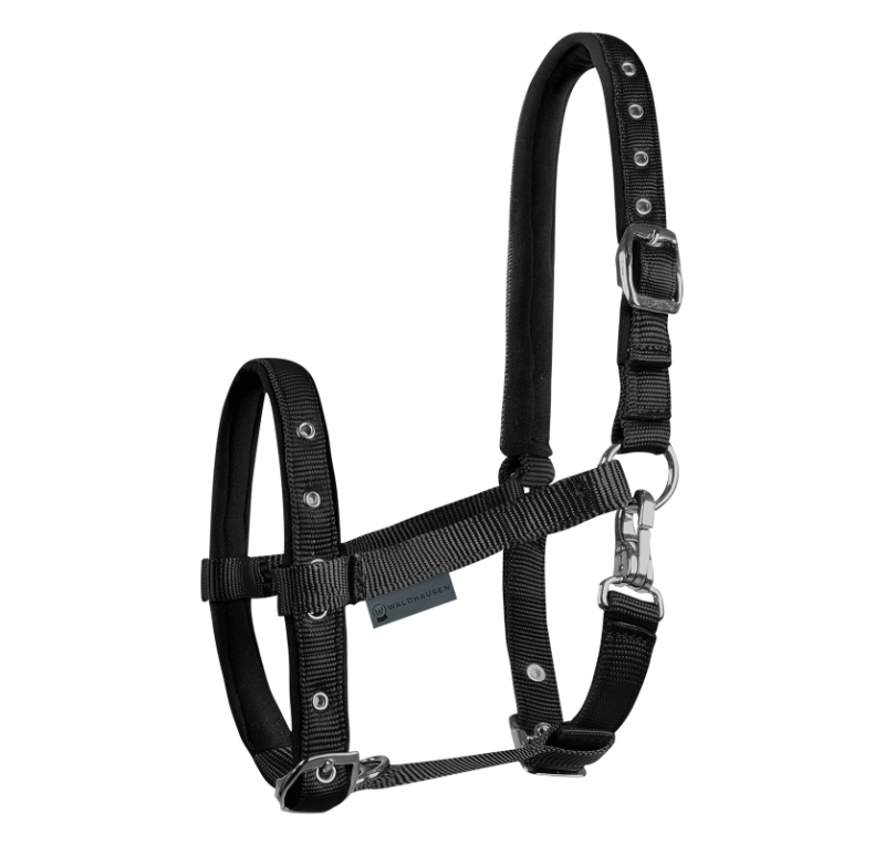 Cabezada para potro Confort | Varios colores