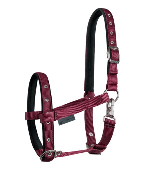 Cabezada para potro Confort | Varios colores