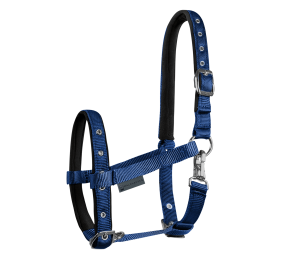 Cabezada para potro Confort | Varios colores