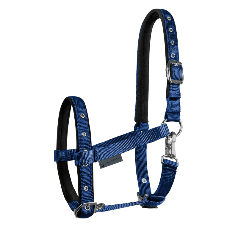 Cabezada para potro Confort | Varios colores