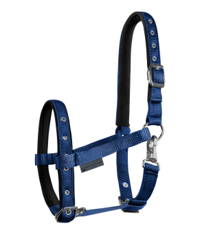 Cabezada para potro Confort | Varios colores