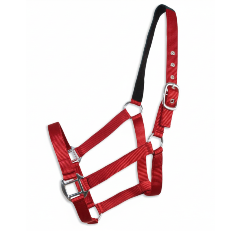 Cabezada cuadra Eco "Los Nietos Dressage"| Varios colores